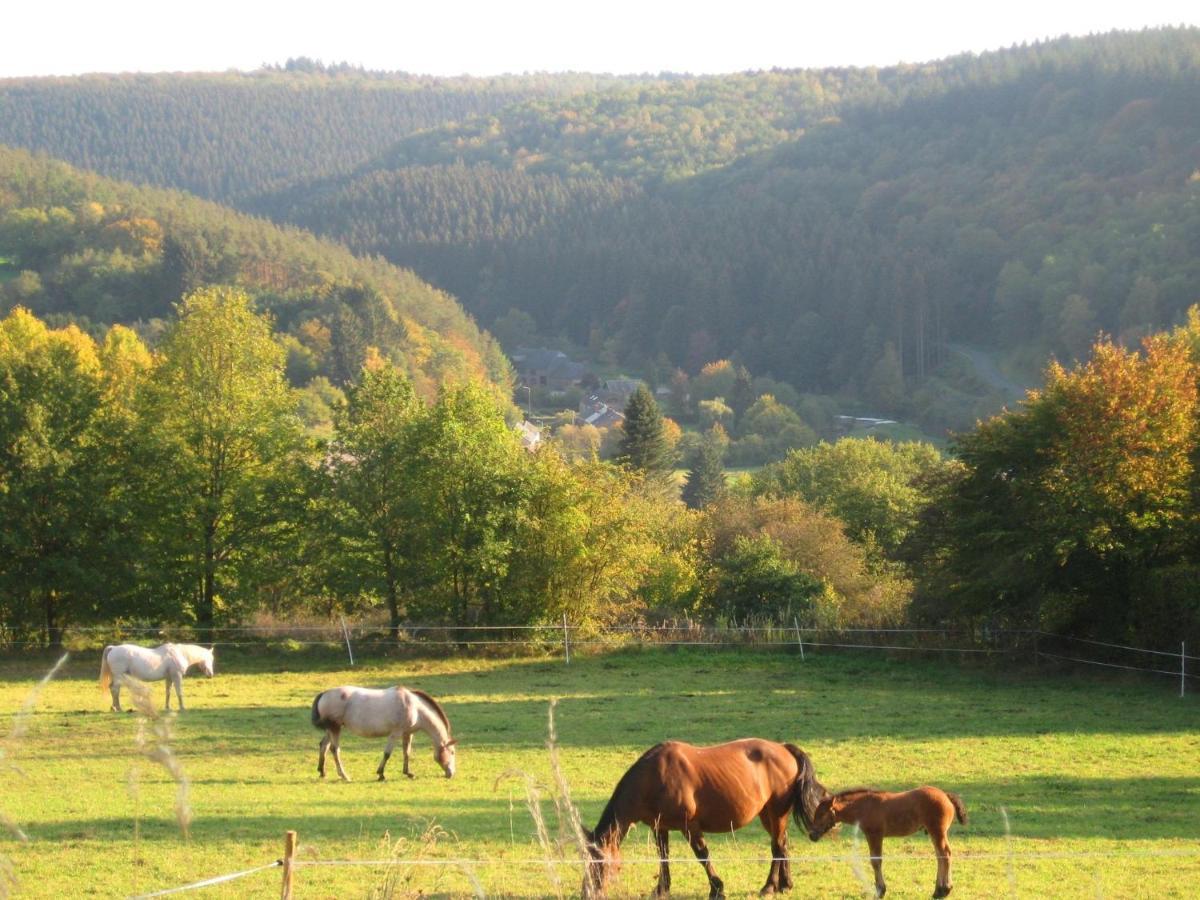 Beautiful House With View Of The Houille Valley Vencimont Exteriér fotografie